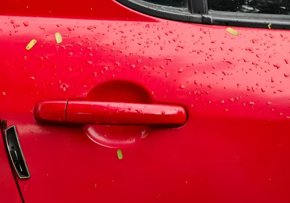 "Car door with a minor dent being repaired using Paintless Dent Repair tools."