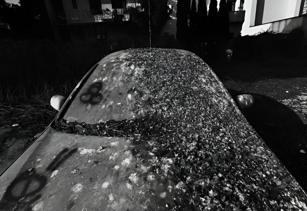 "Car with hail dents being inspected for Paintless Dent Repair."